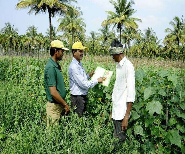 Modi government's big relief to farmers, extended loan repayment period; Increase in MSP of crops also