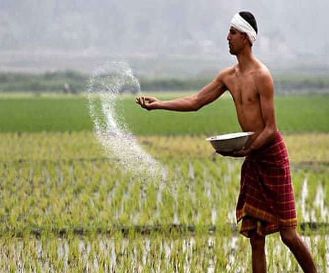 Modi government's big relief to farmers, extended loan repayment period; Increase in MSP of crops also