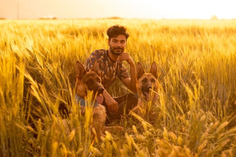 Meet Iranian Singer Farshid Ostovarhaghighi