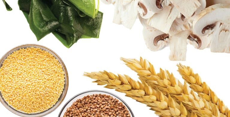 Beta Glucan Market Report 2022 | Demand, Size, Share, Growth, Trends and Forecast 2027
