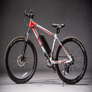 Global E-Bike Market Report