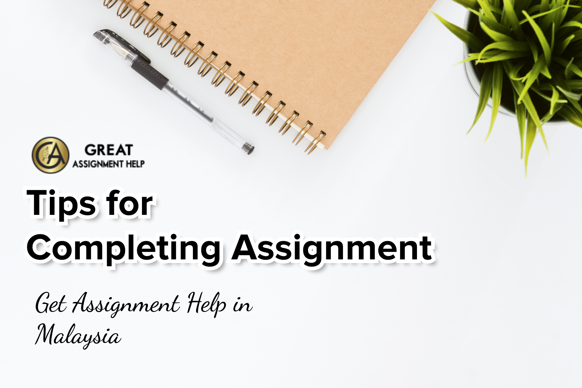 assignment help Malacca