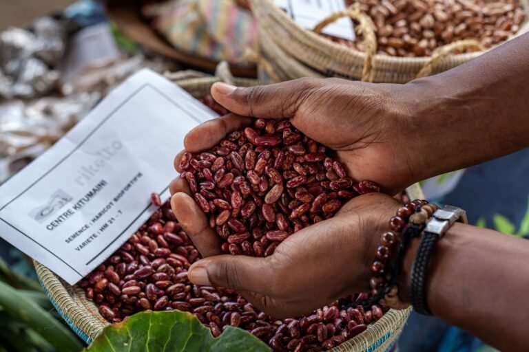 DRC's Journey: Six Decades of F&B Innovation in the Lower Gulf