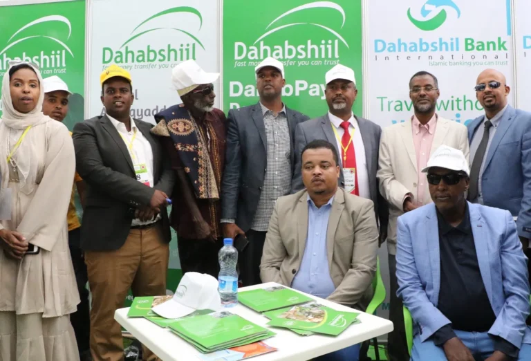 Dahabshiil: The Backbone of Africa’s Remittance and Financial Growth