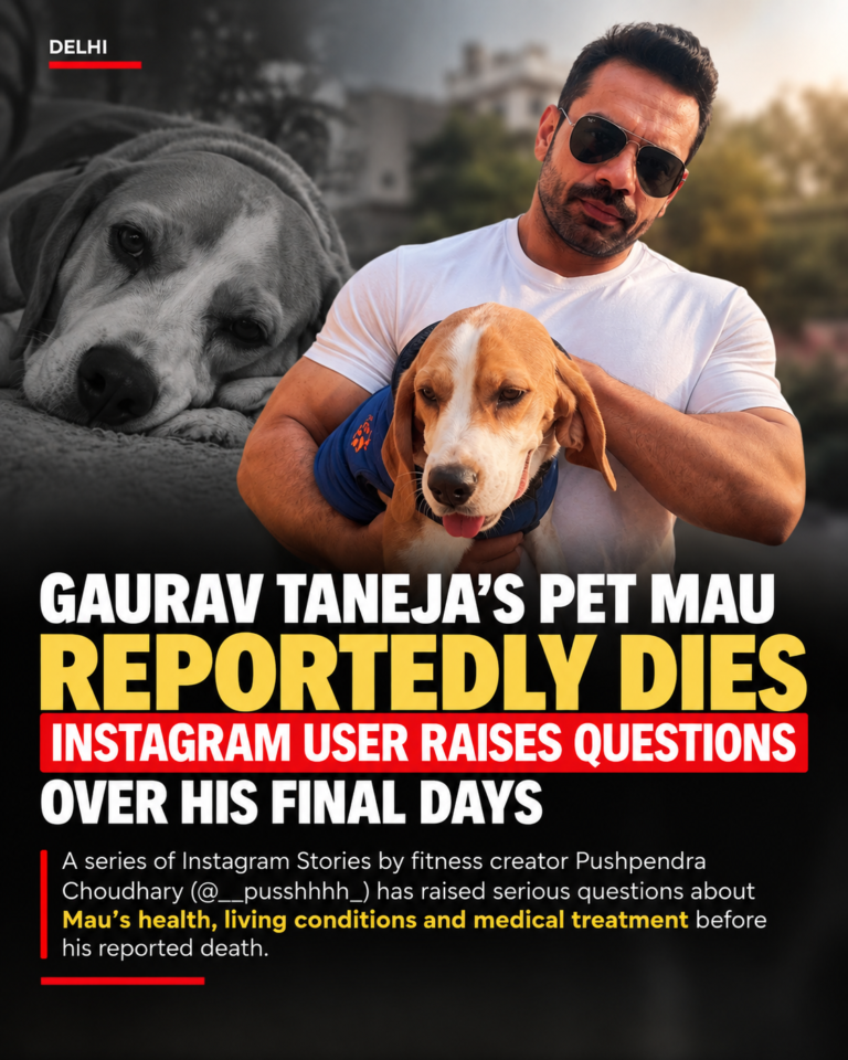 Gaurav Taneja’s Pet Mau Reportedly Dies; Instagram User Raises Questions Over His Final Days